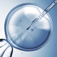 Load image into Gallery viewer, *NEW* Flickmate Holding Pipette