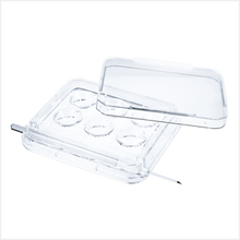 Load image into Gallery viewer, Oosafe® 6 Well Dish With Straw Holder, Non-Treated Surface (4 Pcs/Pack, 120 Pcs/Case)